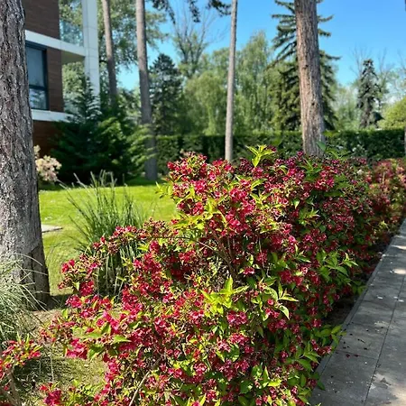 Azur Port Balaton アパート