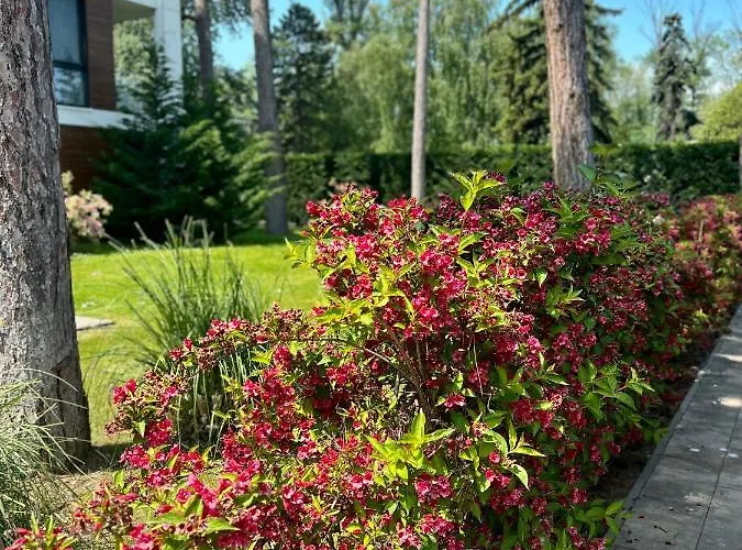 Azur Port Balaton Lägenhet